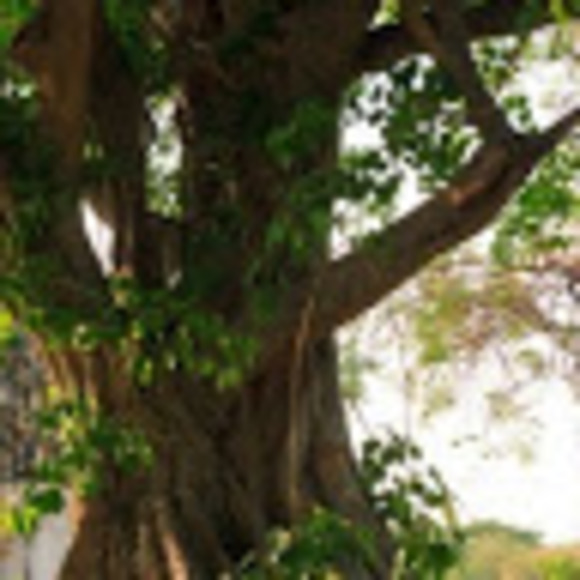 Meet your Posher, Arielle - Picture 1 of 1